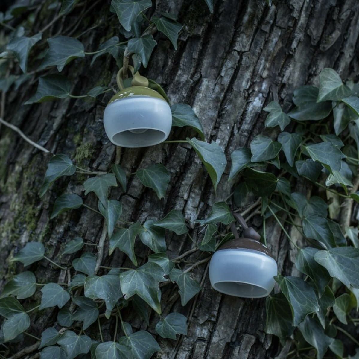 snow peak スノーピーク たねほおずき｜SUNDAY MOUNTAIN｜サンデー