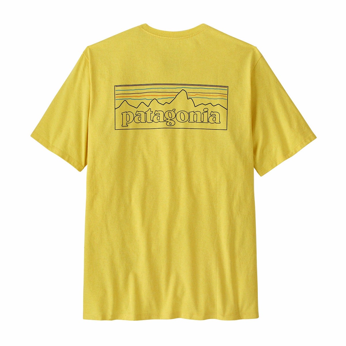 極美品 即完売 パタゴニア P6ロゴTシャツ 18SS 今期 人気サイズS patagonia パタゴニア P6ロゴ レスポンシビリティー メンズ｜SUNDAY