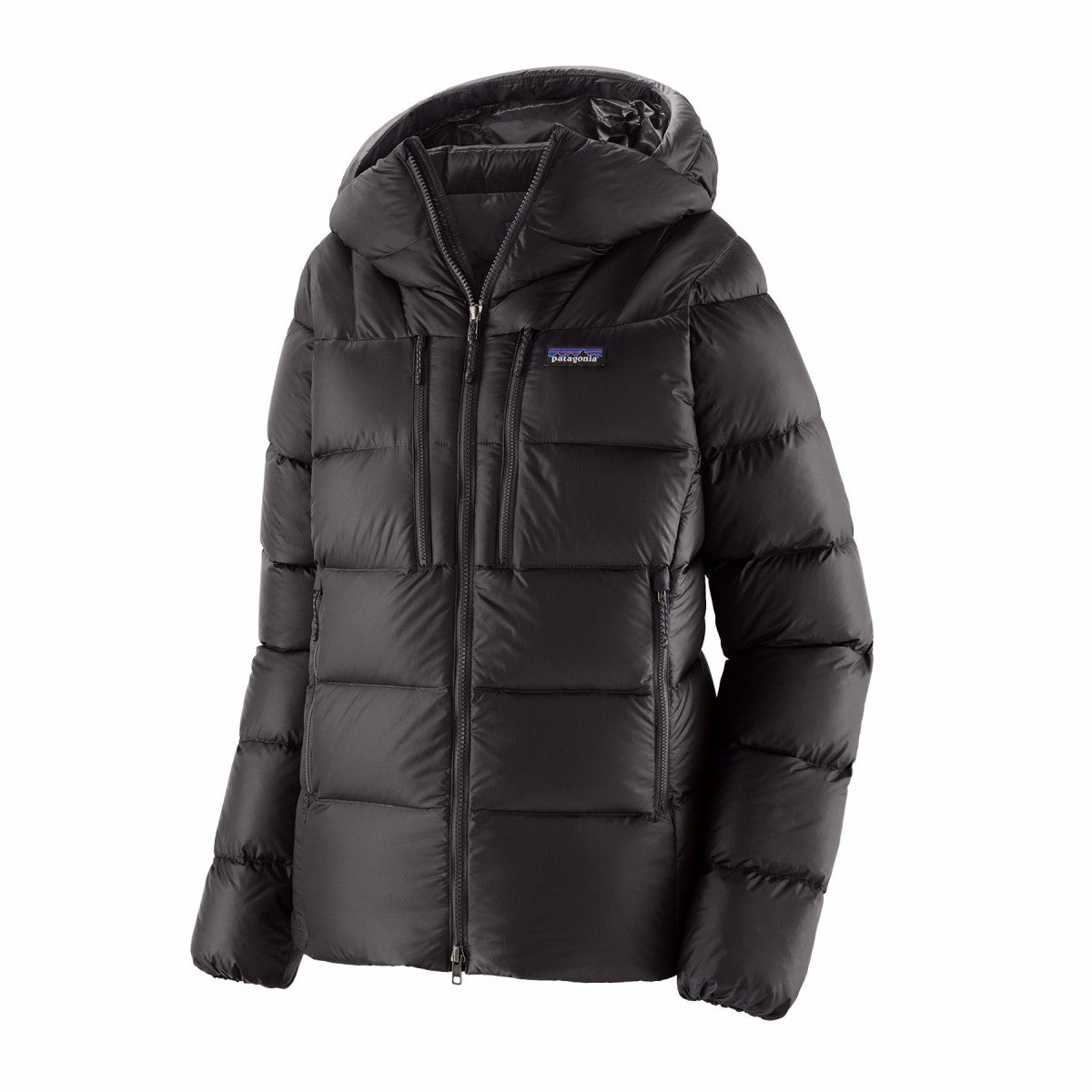 patagonia パタゴニア フィッツロイダウンフーディ【ウィメンズ