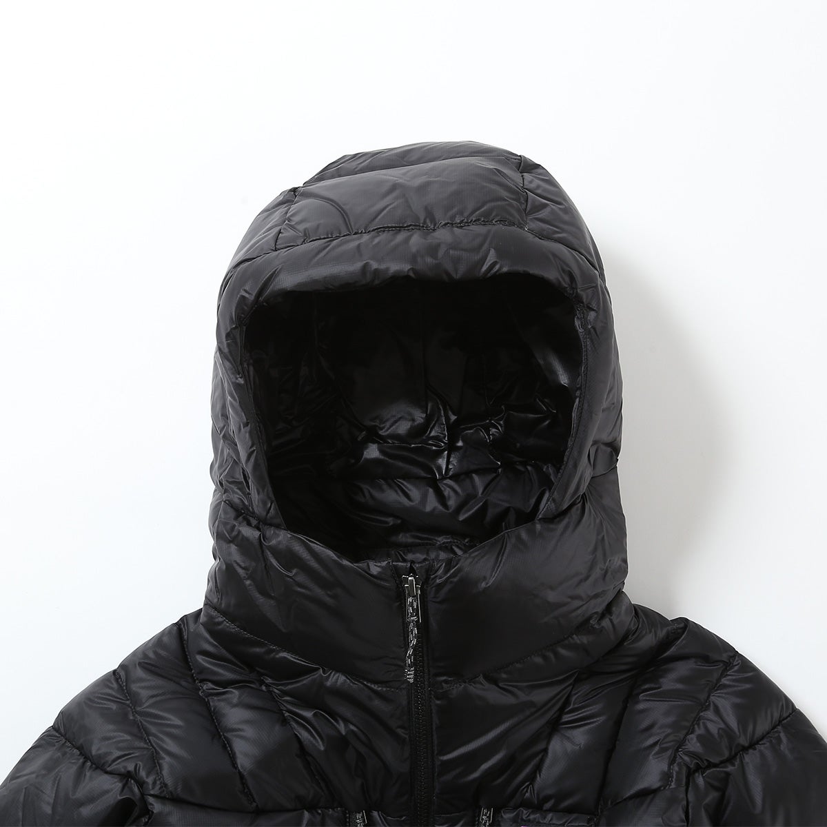 patagonia パタゴニア フィッツロイダウンフーディ【ウィメンズ