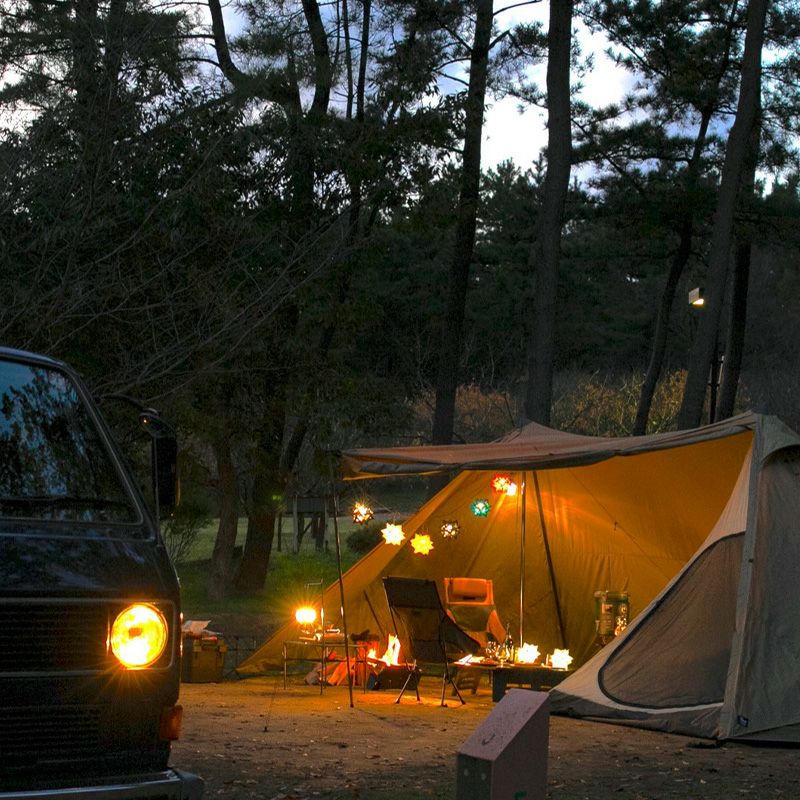 COLONISTA コロニスタ CONPE10（コンペイトウ）｜SUNDAY MOUNTAIN