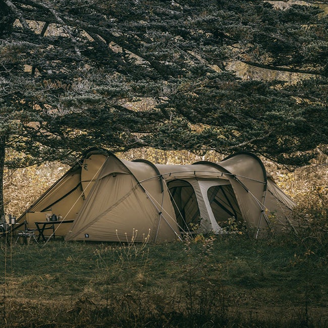 ZANEARTS ゼインアーツ ロガ