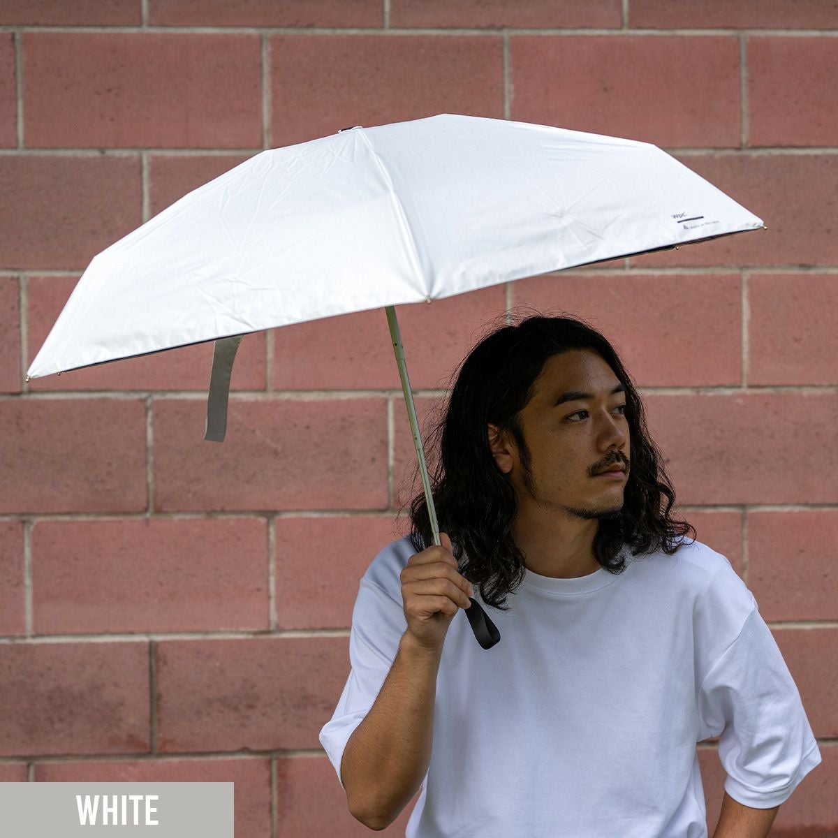 waltz in the rain×Wpc. ワルツインザレイン×ダブリューピーシー