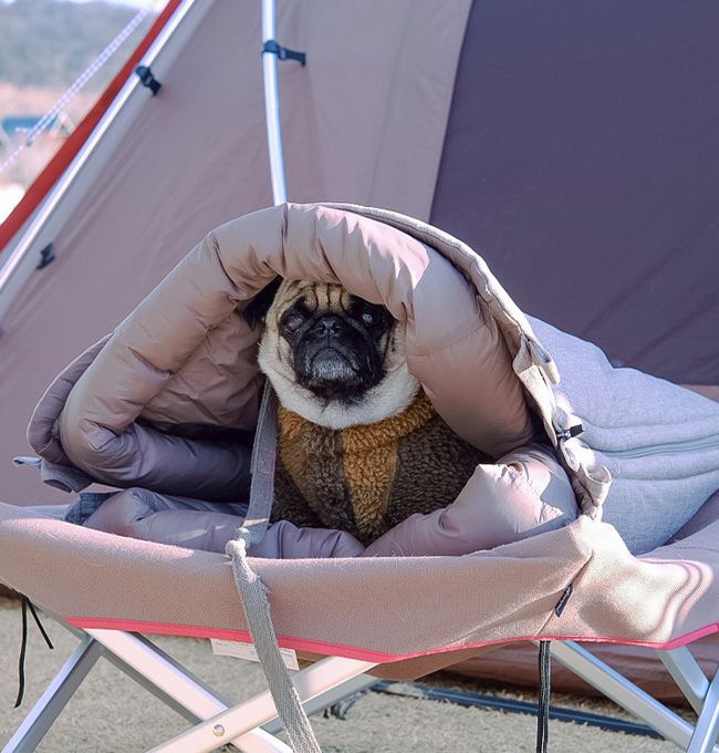 snow peak スノーピーク ドッグオフトン｜SUNDAY MOUNTAIN｜サンデー