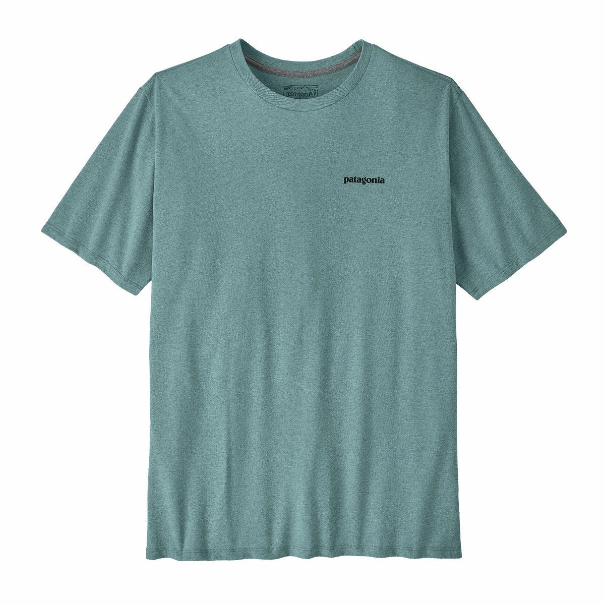 patagonia パタゴニア テイクアスタンドレスポンシビリTee メンズ