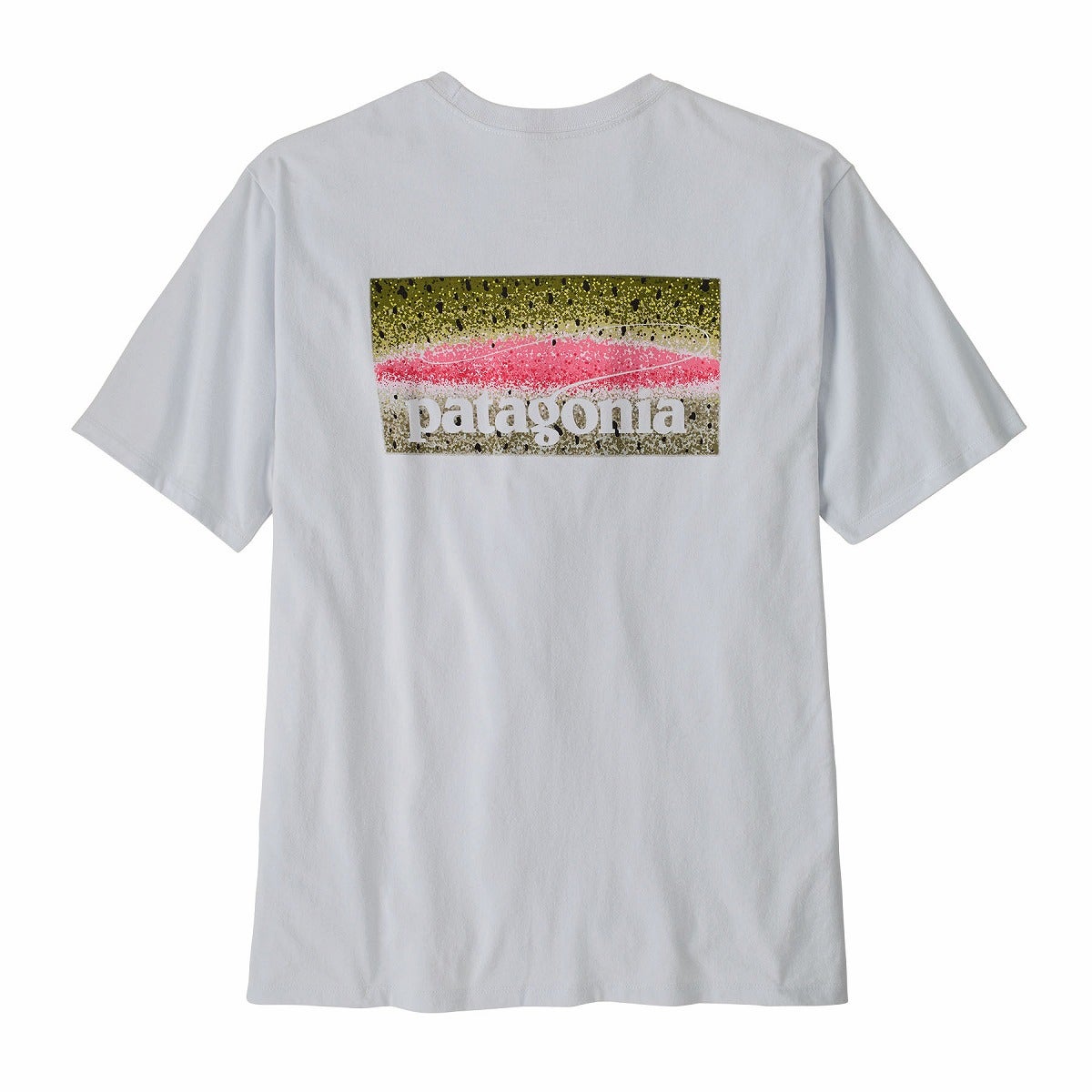 patagonia パタゴニア テイクアスタンドレスポンシビリTee メンズ