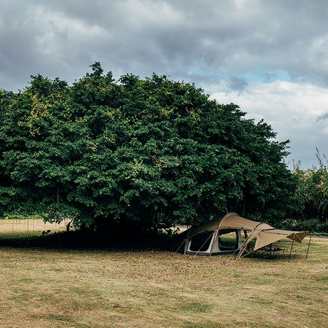 ZANEARTS ゼインアーツ ギモーグ｜SUNDAY MOUNTAIN｜サンデーマウンテン