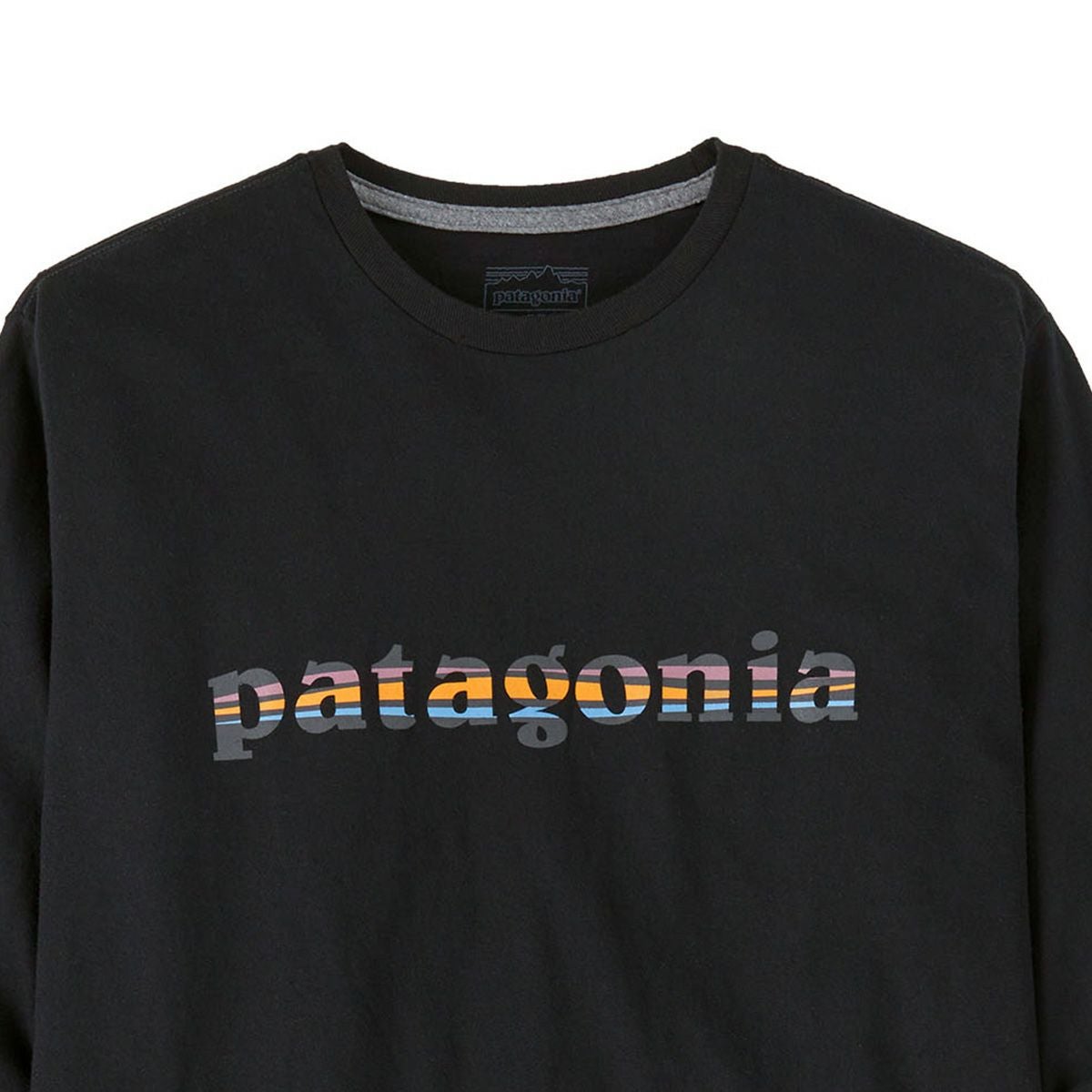patagonia パタゴニア L/S'73テキストロゴレスポンシビリTee メンズ