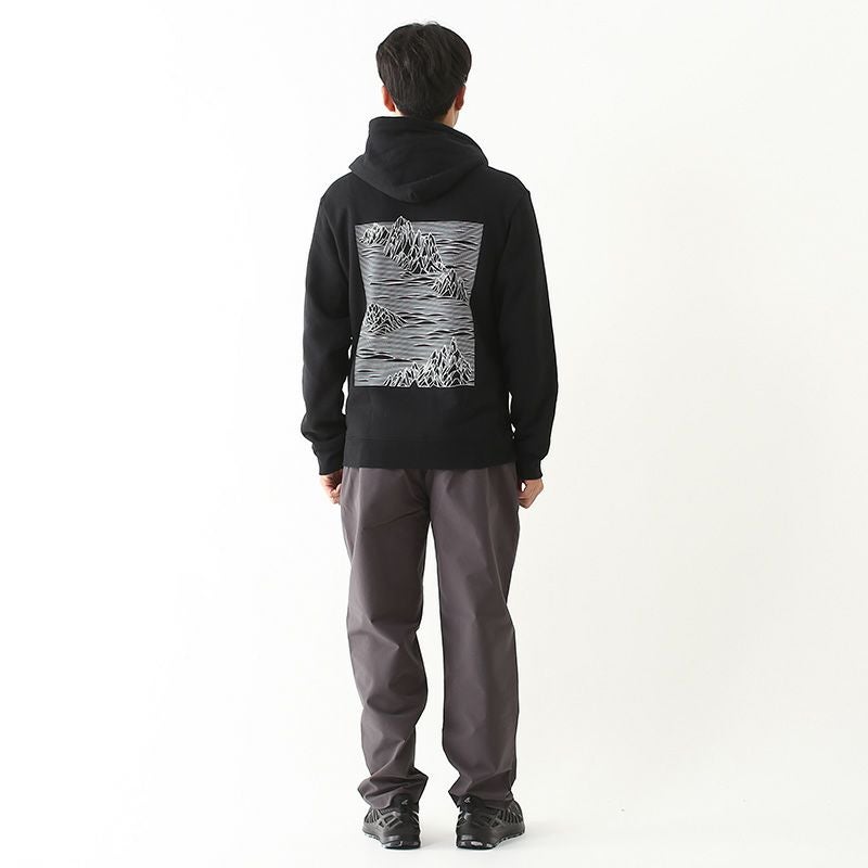 patagonia パタゴニア ストラタスパイアアップライザルフーディ