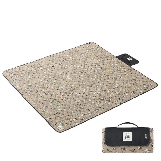 THERM-A-REST サーマレスト Zライト ソル レギュラー専用スタッフ