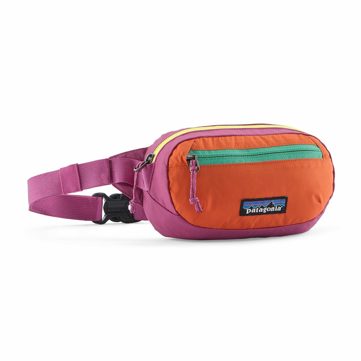 patagonia パタゴニア テラヴィアミニヒップパック1L｜SUNDAY MOUNTAIN