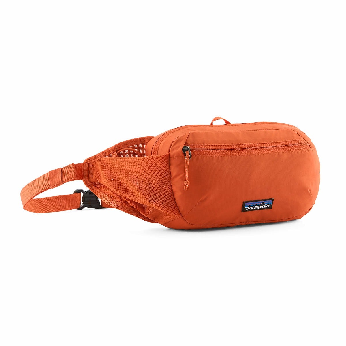 patagonia パタゴニア テラヴィアヒップパック 4L｜SUNDAY MOUNTAIN