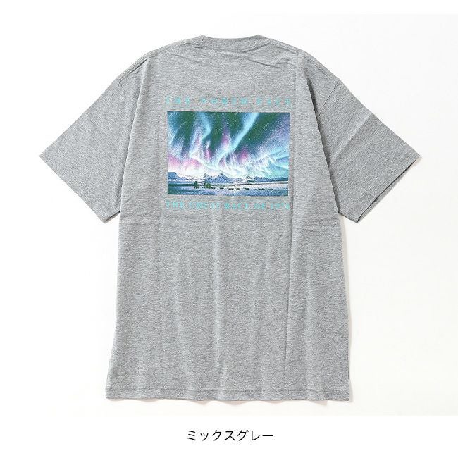THE NORTH FACE ノースフェイス S/SグレートレースTee ユニセックス