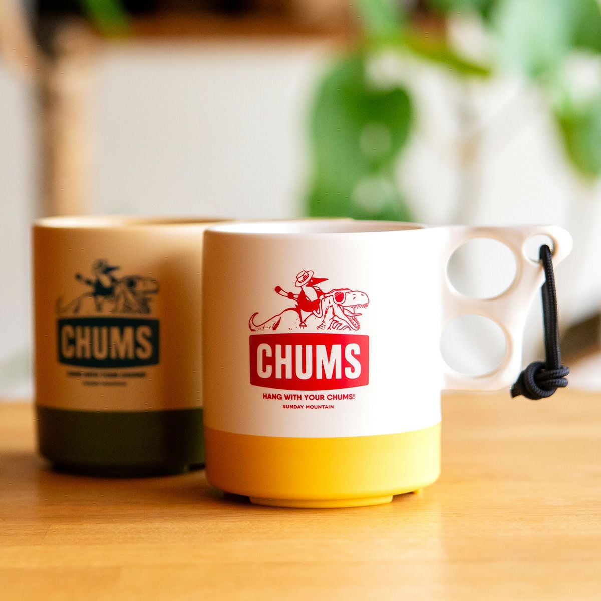 CHUMS×SUNDAY MOUNTAIN チャムス×サンデーマウンテン CHUMS別注