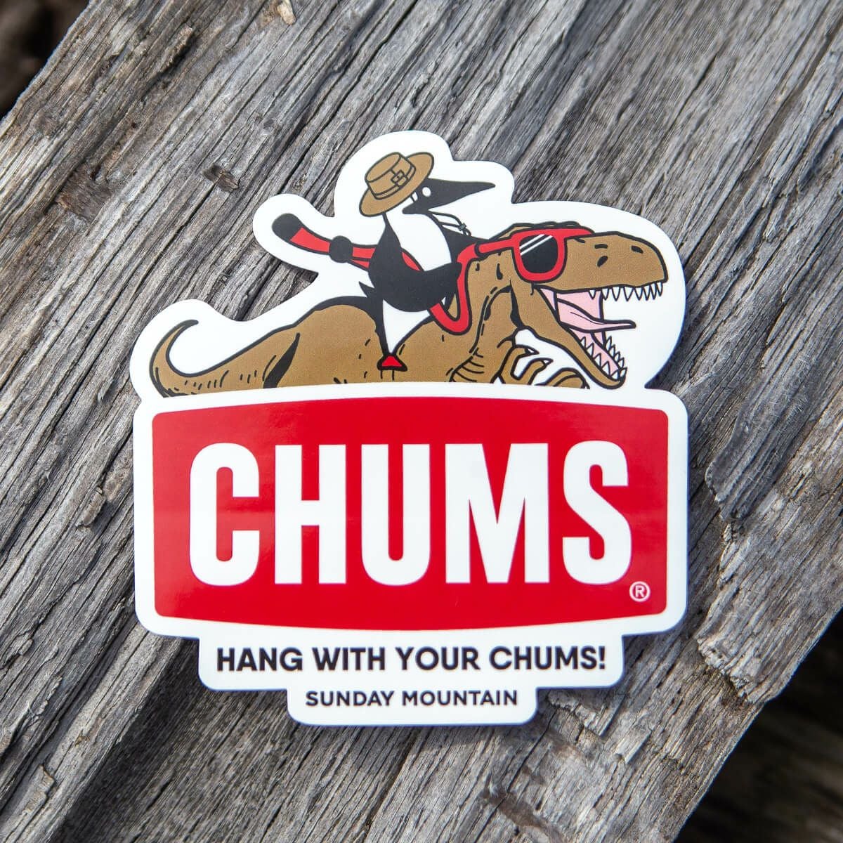 CHUMS×SUNDAY MOUNTAIN チャムス×サンデーマウンテン CHUMS別注