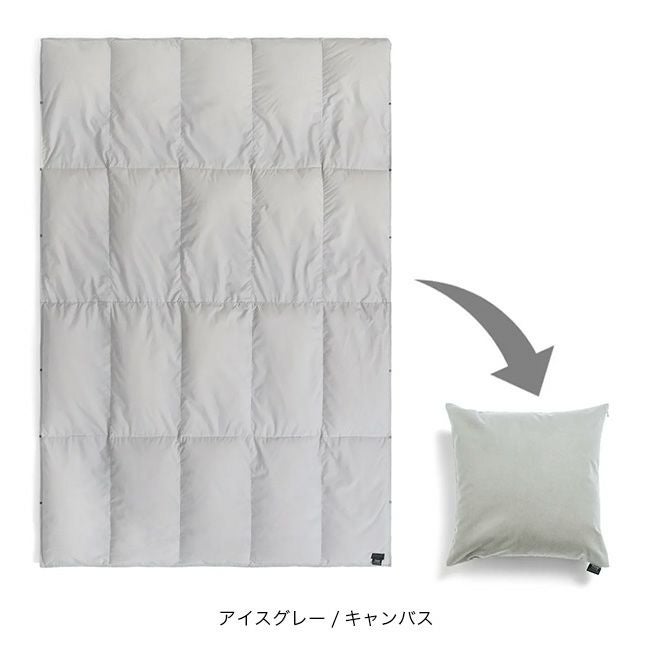 TAION タイオン ルームダウン 超軽量 800FP 羽毛布団 クッションカバー