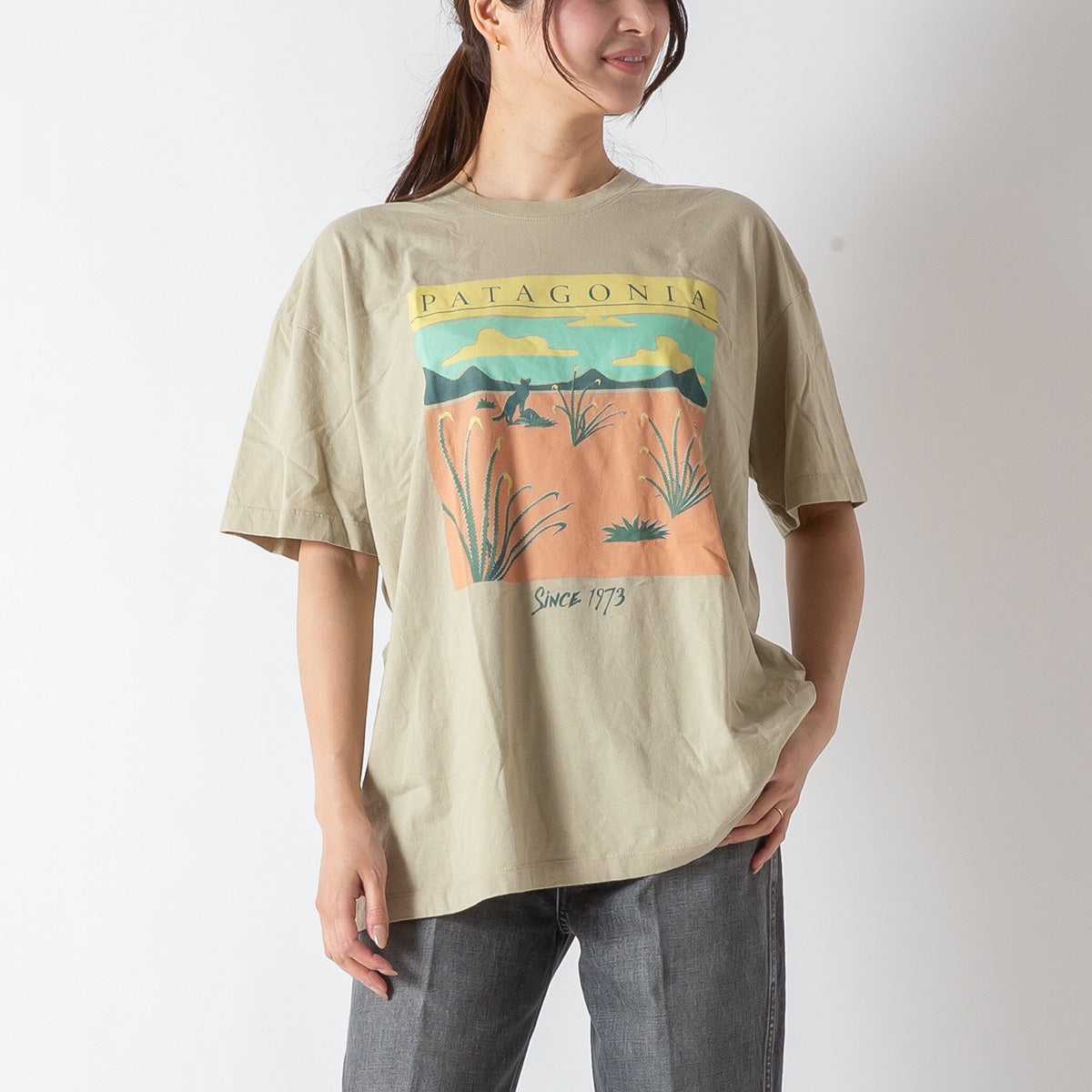 patagonia パタゴニア デザートグローオーバーサイズTシャツ