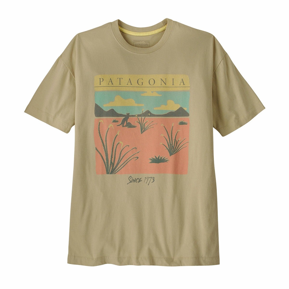 patagonia パタゴニア デザートグローオーバーサイズTシャツ