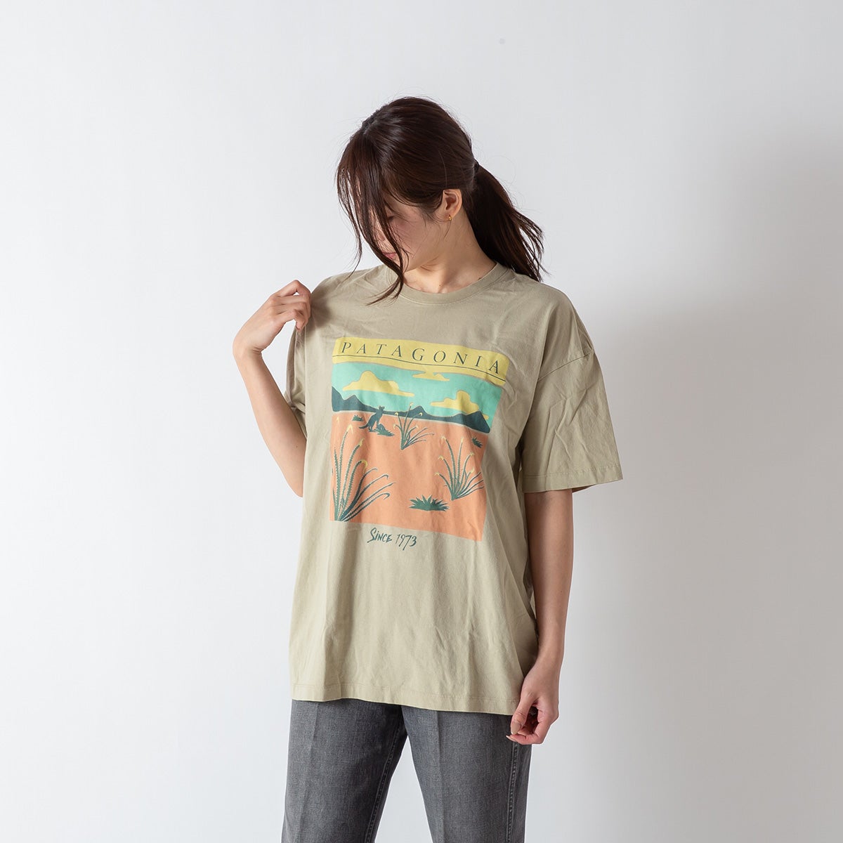 patagonia パタゴニア デザートグローオーバーサイズTシャツ