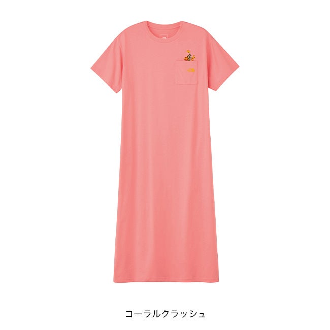 THE NORTH FACE ノースフェイス S/Sフラッシュドライフラワーロゴ