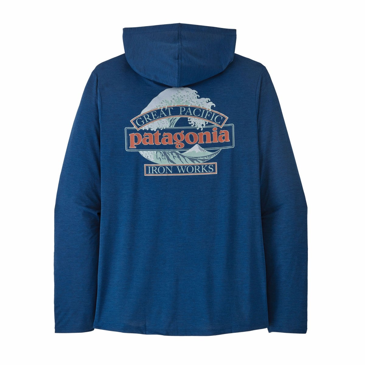 patagonia パタゴニア キャプリーンクールデイリーフーディ-グレート