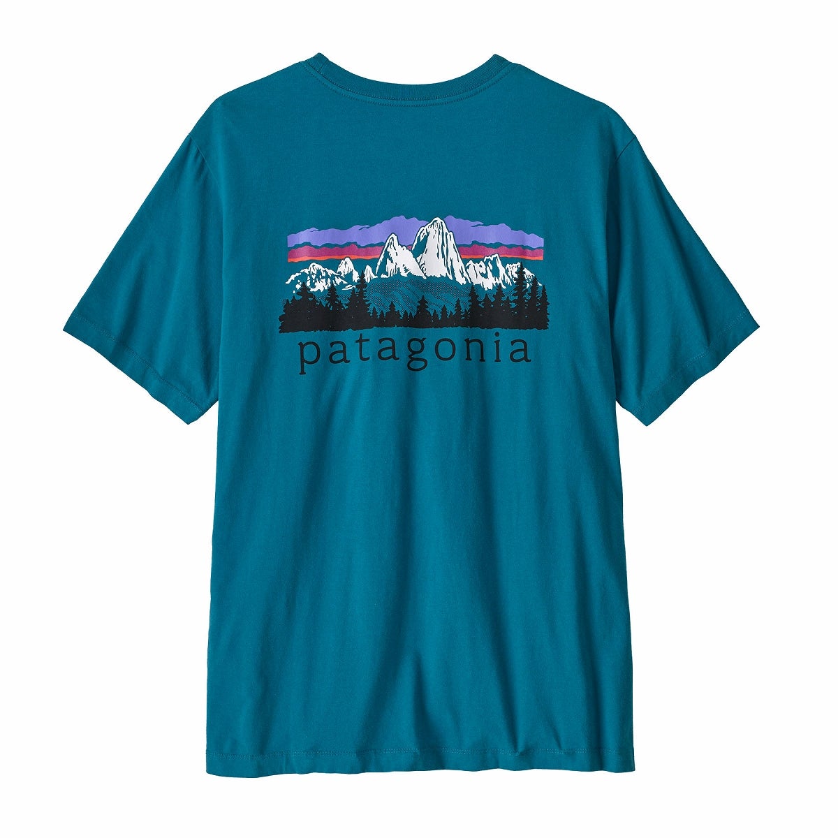 98S Patagonia Tシャツ オーバルロゴ USA製 フィッツロイ patagonia パタゴニア フィッツロイフットヒルズTシャツ メンズ