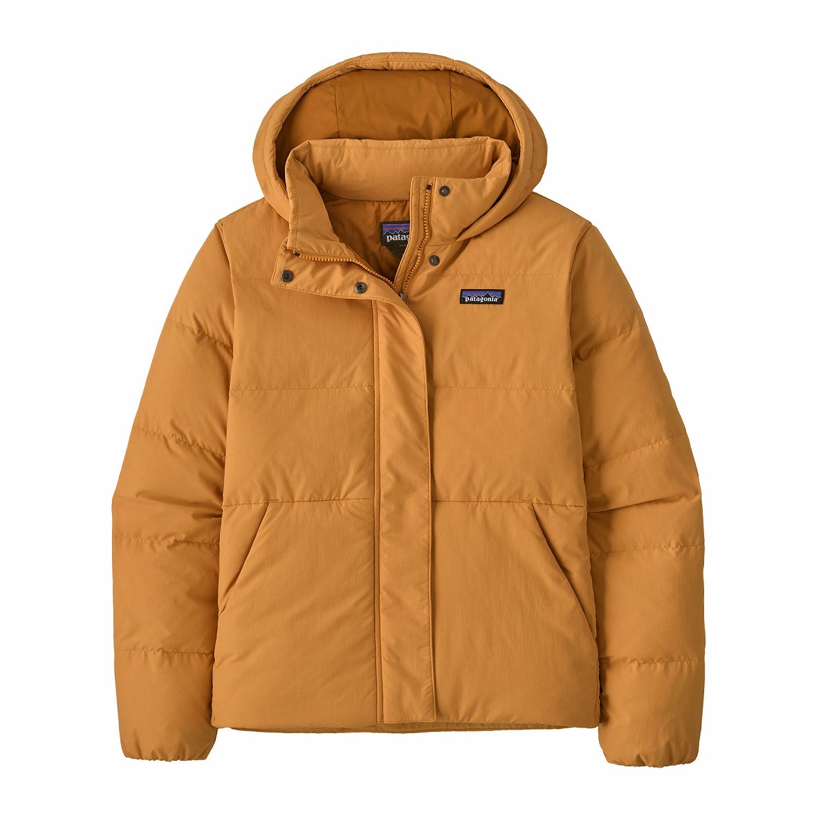 patagonia パタゴニア シザーダウンフーディジャケット【ウィメンズ