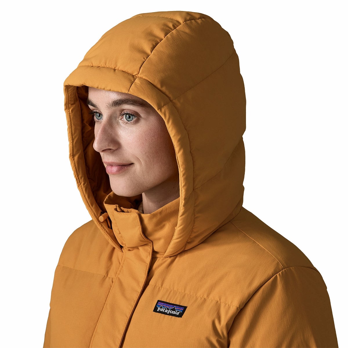 patagonia パタゴニア シザーダウンフーディジャケット【ウィメンズ