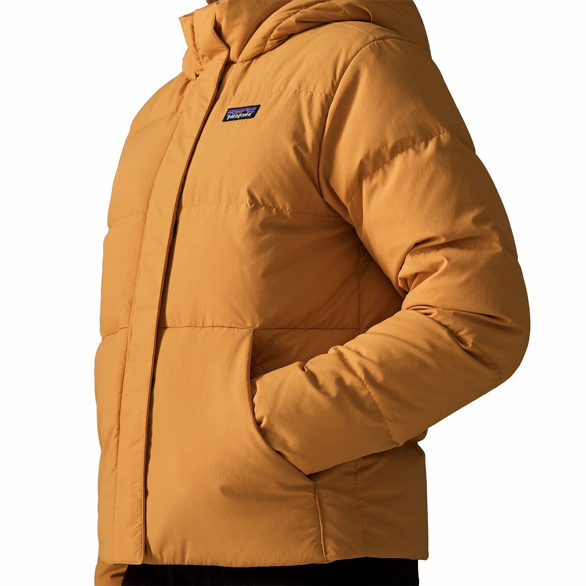 patagonia パタゴニア シザーダウンフーディジャケット【ウィメンズ