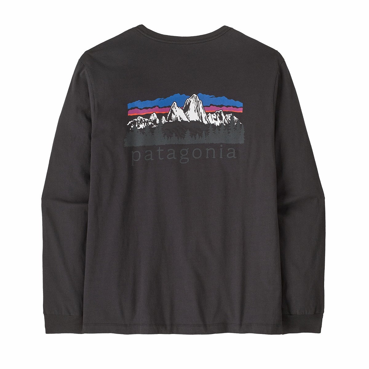 patagonia パタゴニア L/SフィッツロイフットヒルズTシャツ メンズ
